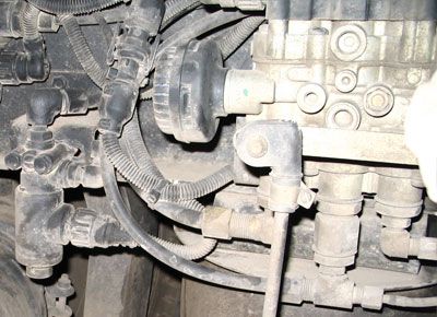 pnev_80.jpg
