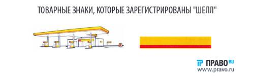 shell3.png